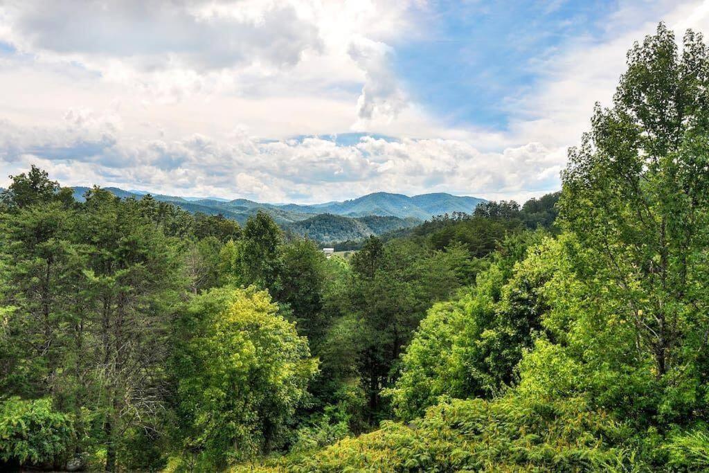 Smoky Mountain Splendor Two Third Acre 2 King Master