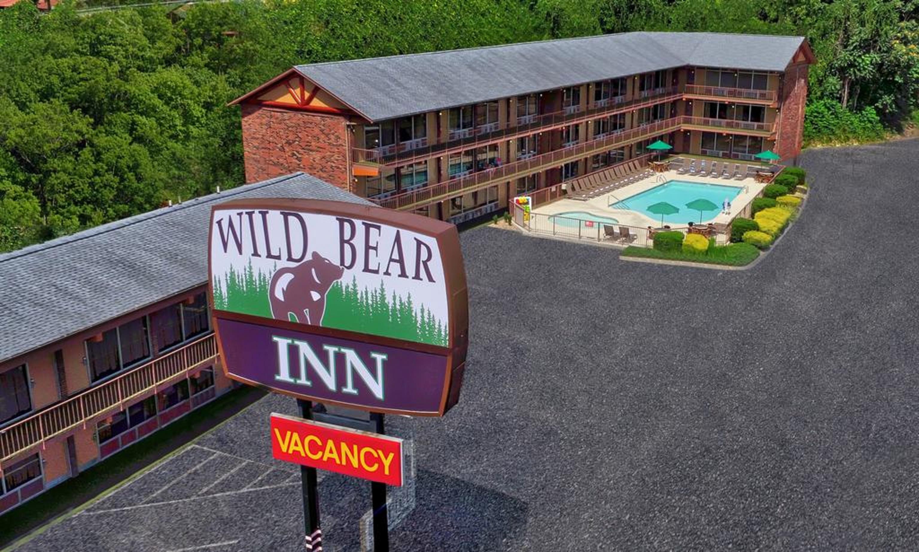Wild Bear Motel 3*