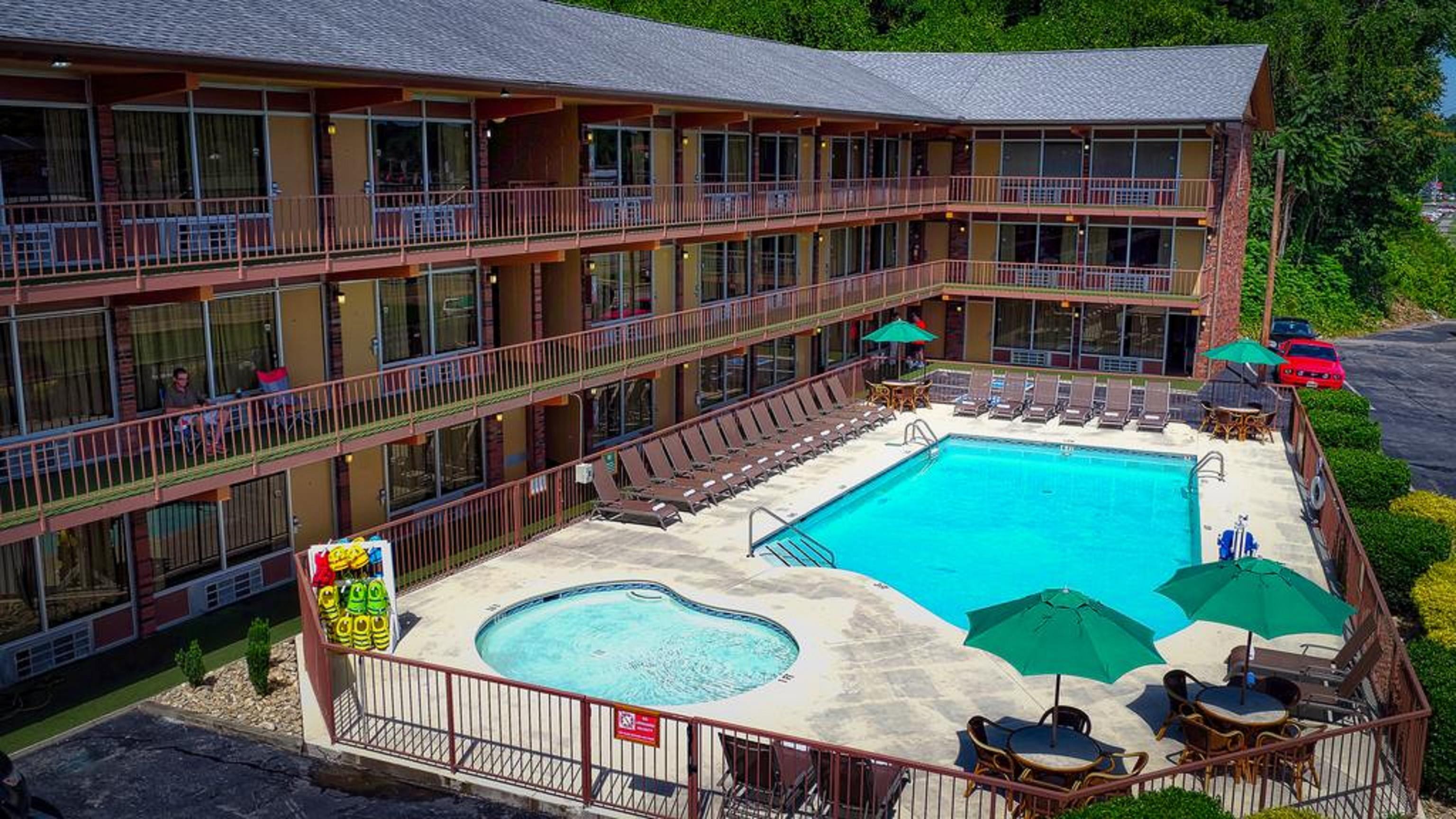 Wild Bear 3* Pigeon Forge