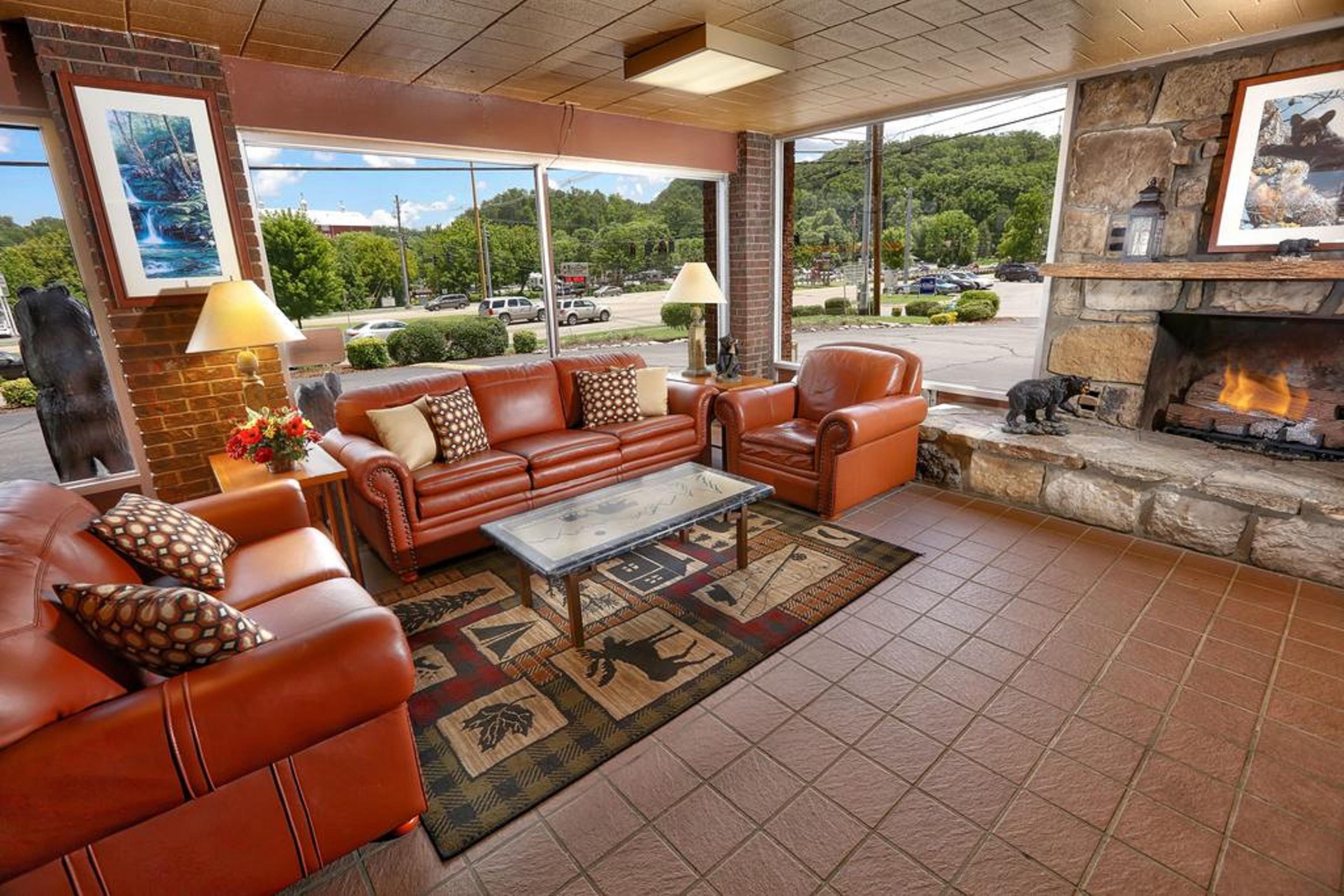 Motel Wild Bear Pigeon Forge