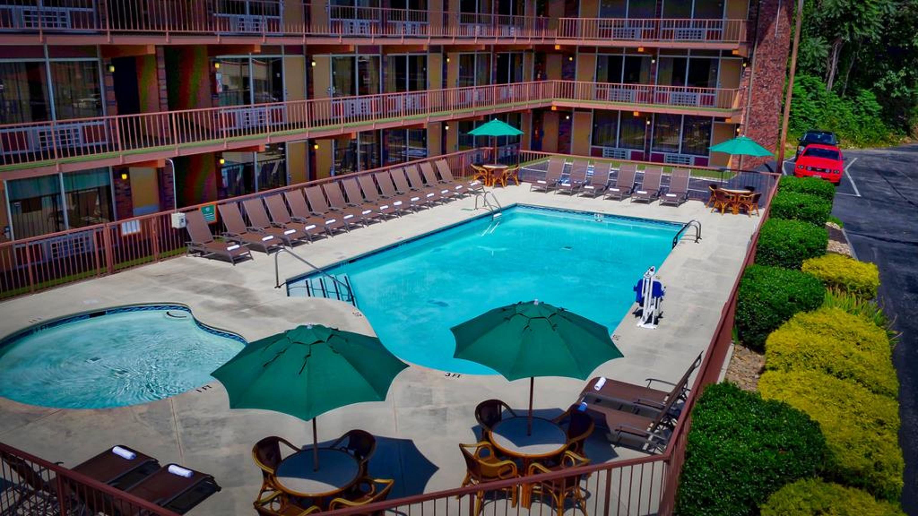 Wild Bear Motel