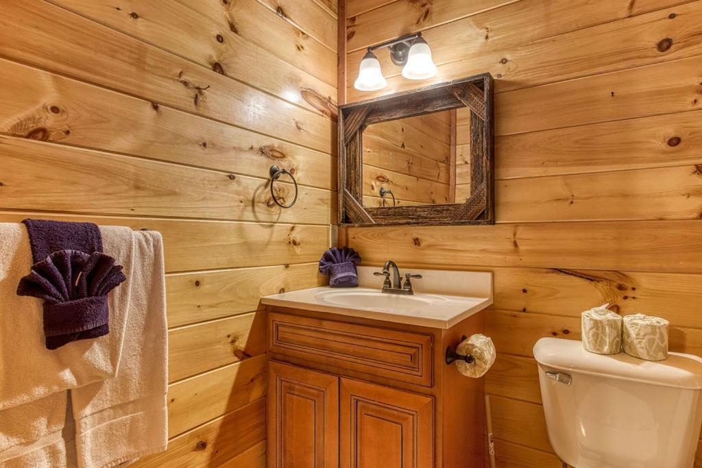 Mountain Splash, Private Pool, Theater Room, 1089 Free Tickets Each Paid Day, Dollywood And *