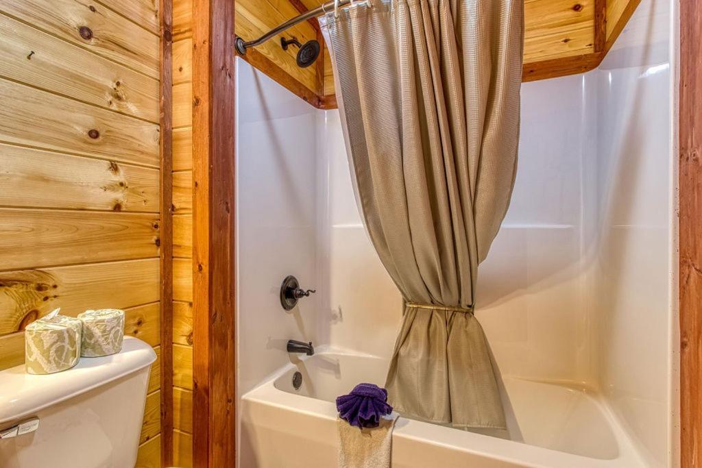 Mountain Splash, Private Pool, Theater Room, 1089 Free Tickets Each Paid Day, Dollywood And Pigeon Forge