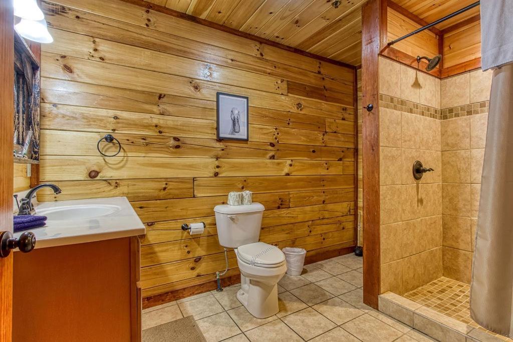 Mountain Splash, Private Pool, Theater Room, 1089 Free Tickets Each Paid Day, Dollywood And