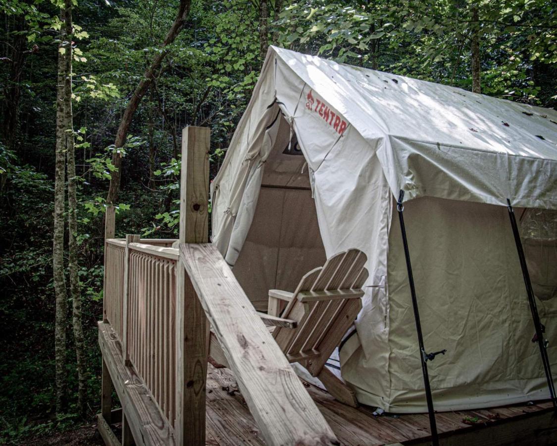 Tentrr Signature Site - Happy Hollow Hideaway Creekside * Pigeon Forge