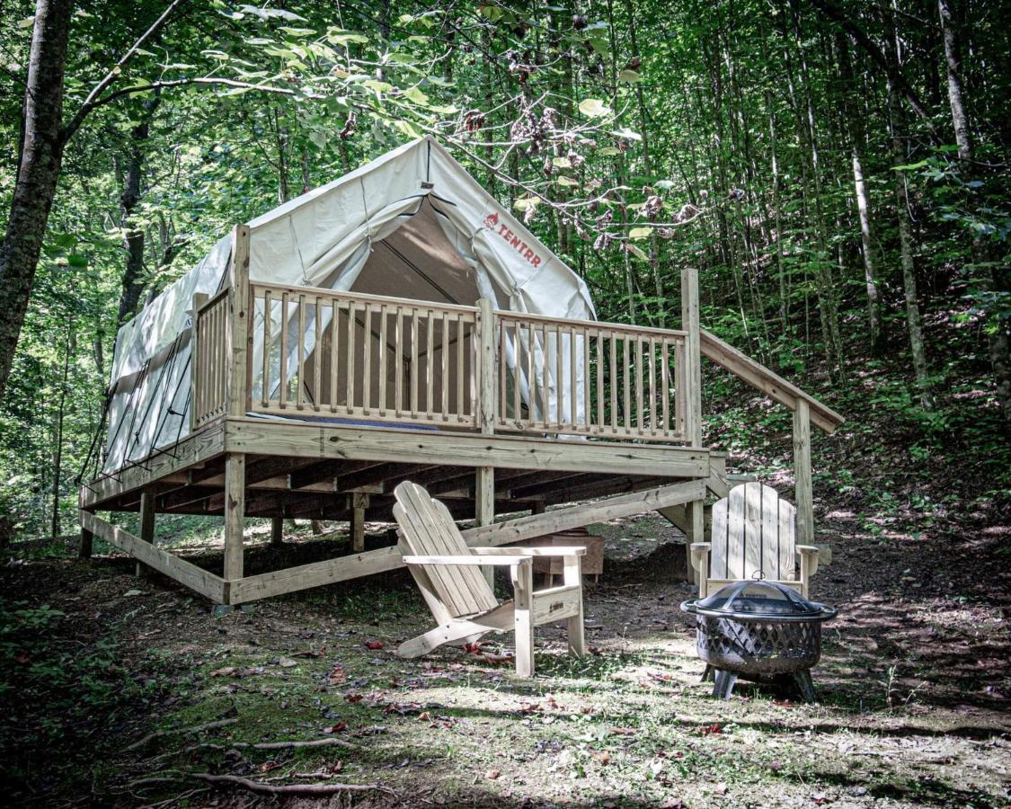Luxury tent Tentrr Signature Site - Happy Hollow Hideaway Creekside *