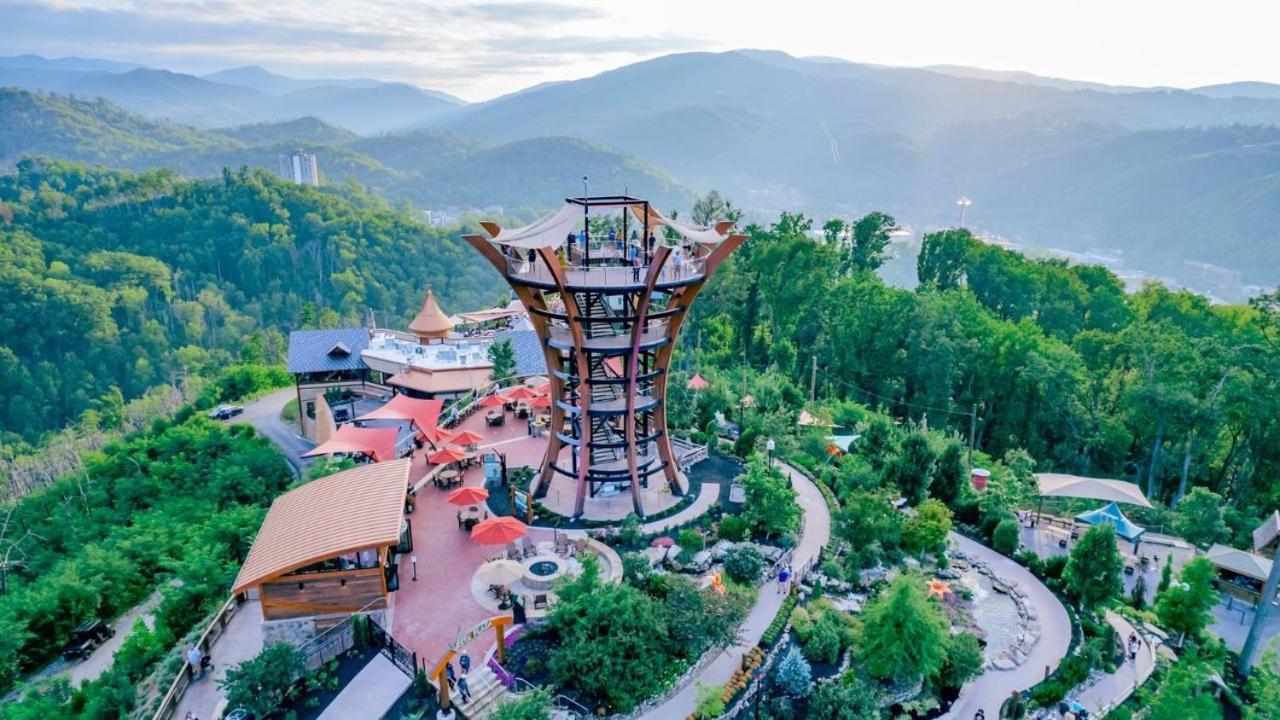 Huny Bear Pigeon Forge