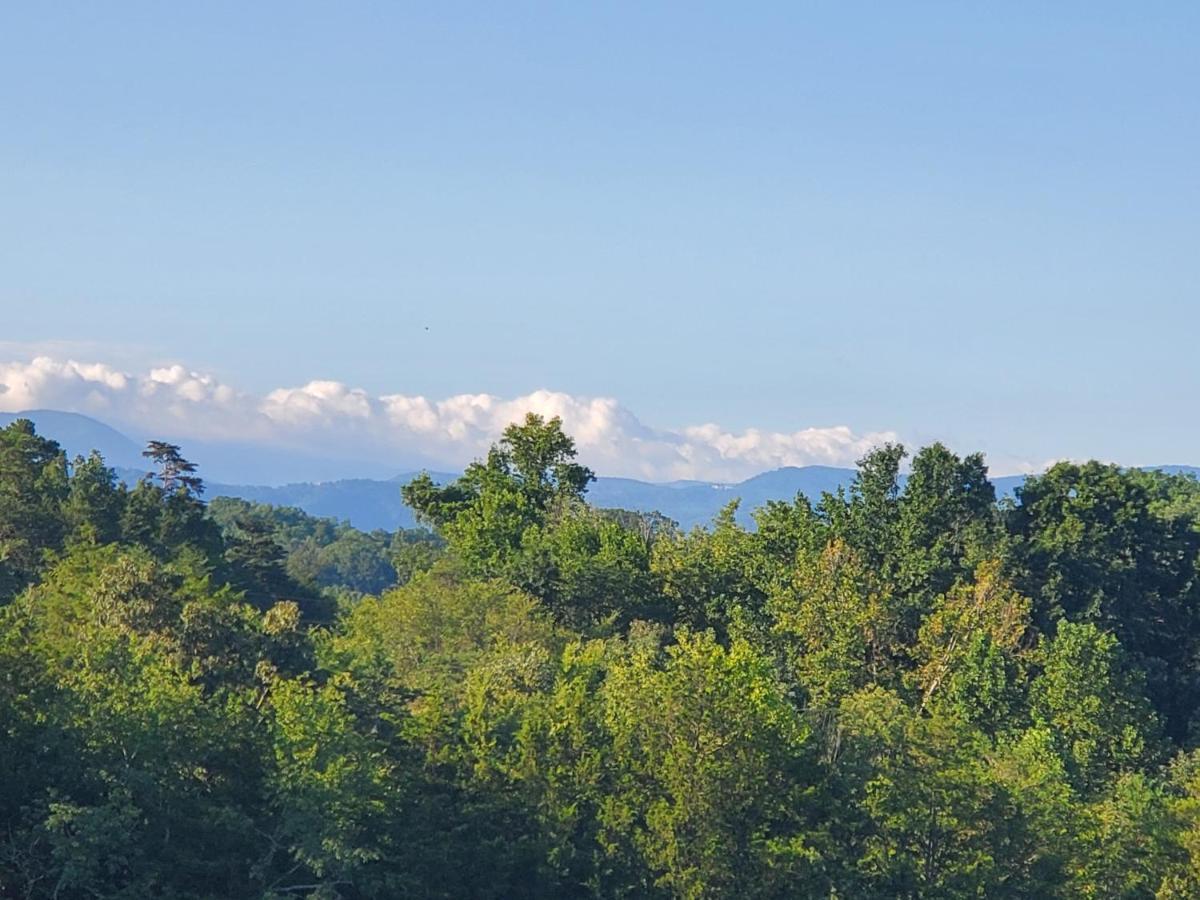 Huny Bear Pigeon Forge