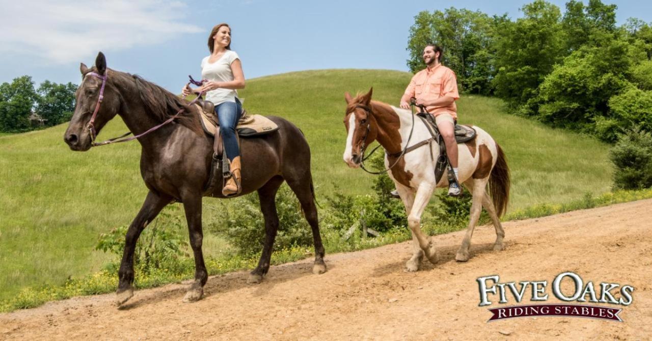 Raccoon Ridge * Pigeon Forge
