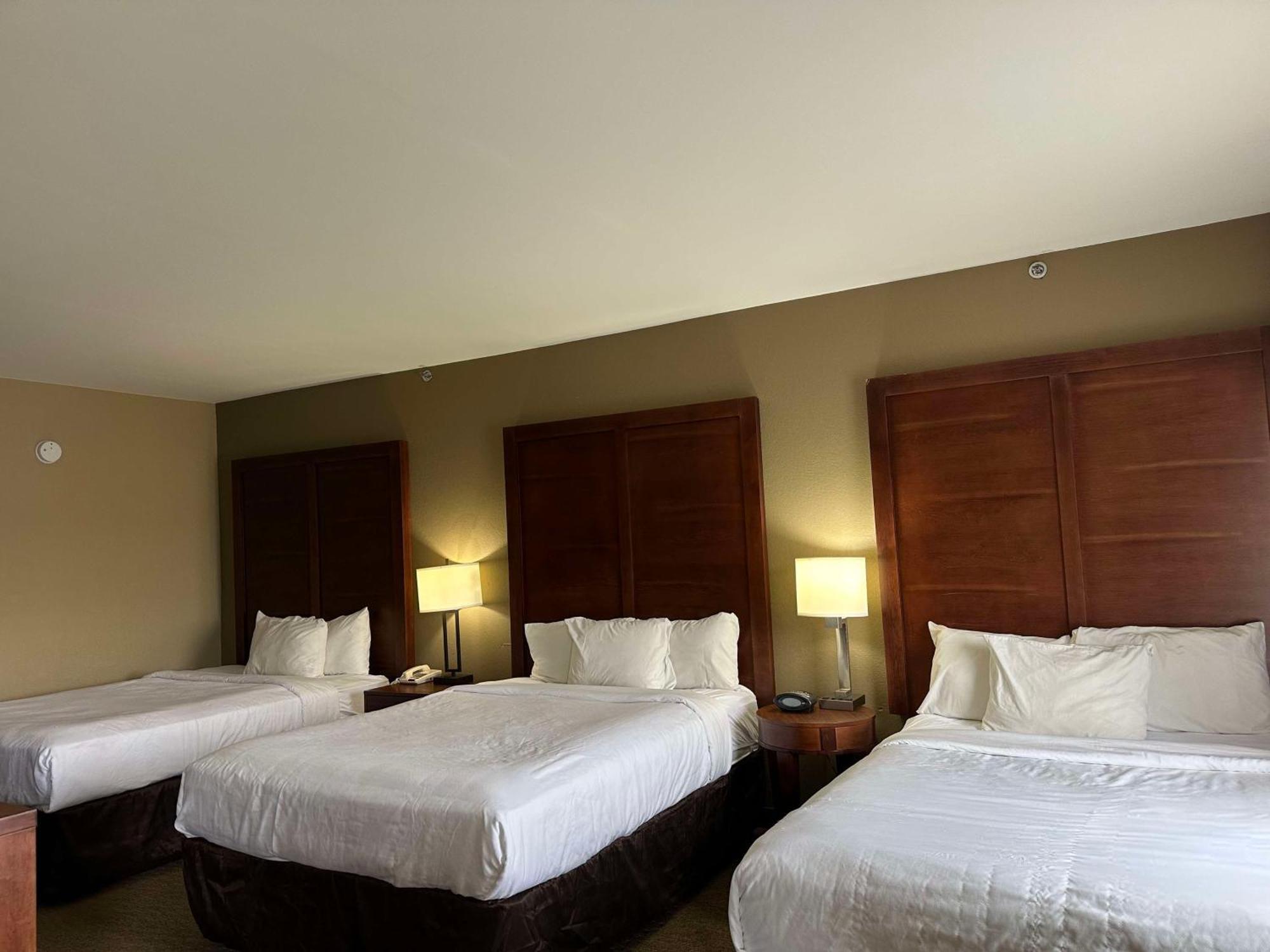 Hotel Vista Near Island Drive And Convention Center
