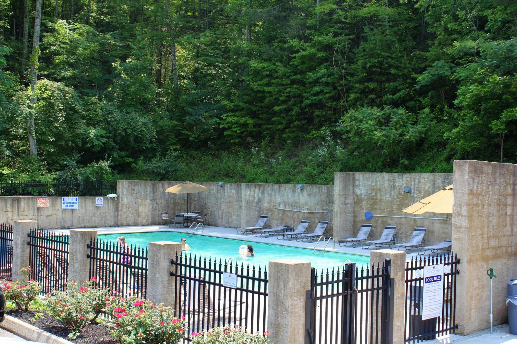 A Higher Calling, 1089 Of Free Area Attraction Tickets For Each Paid Day, Dollywood And More! Pigeon Forge