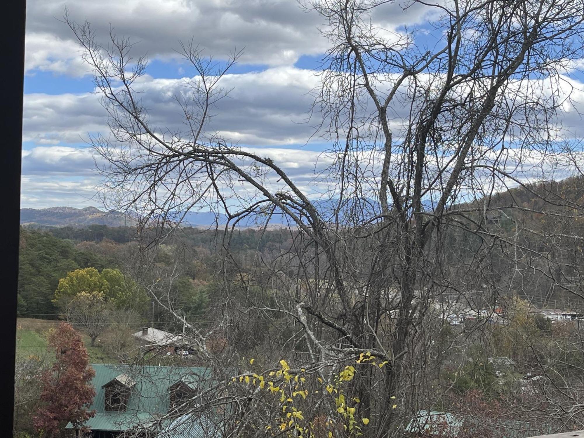 Ern860 - Cozy Bear Overlook * Pigeon Forge