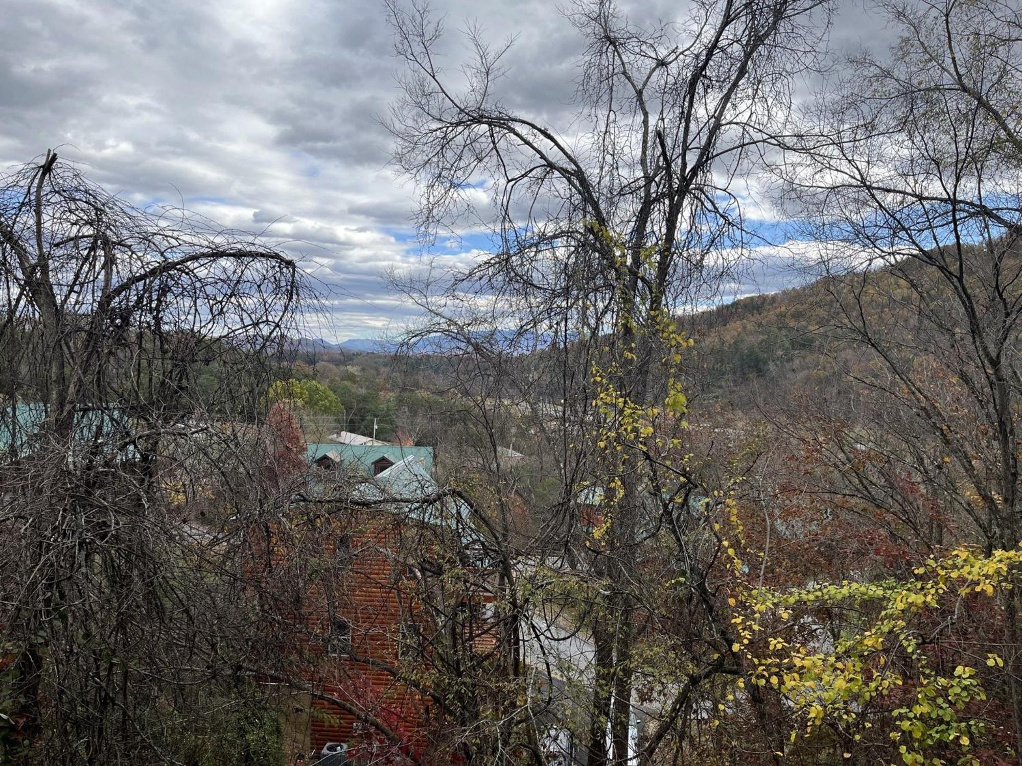 Ern860 - Cozy Bear Overlook Holiday home *