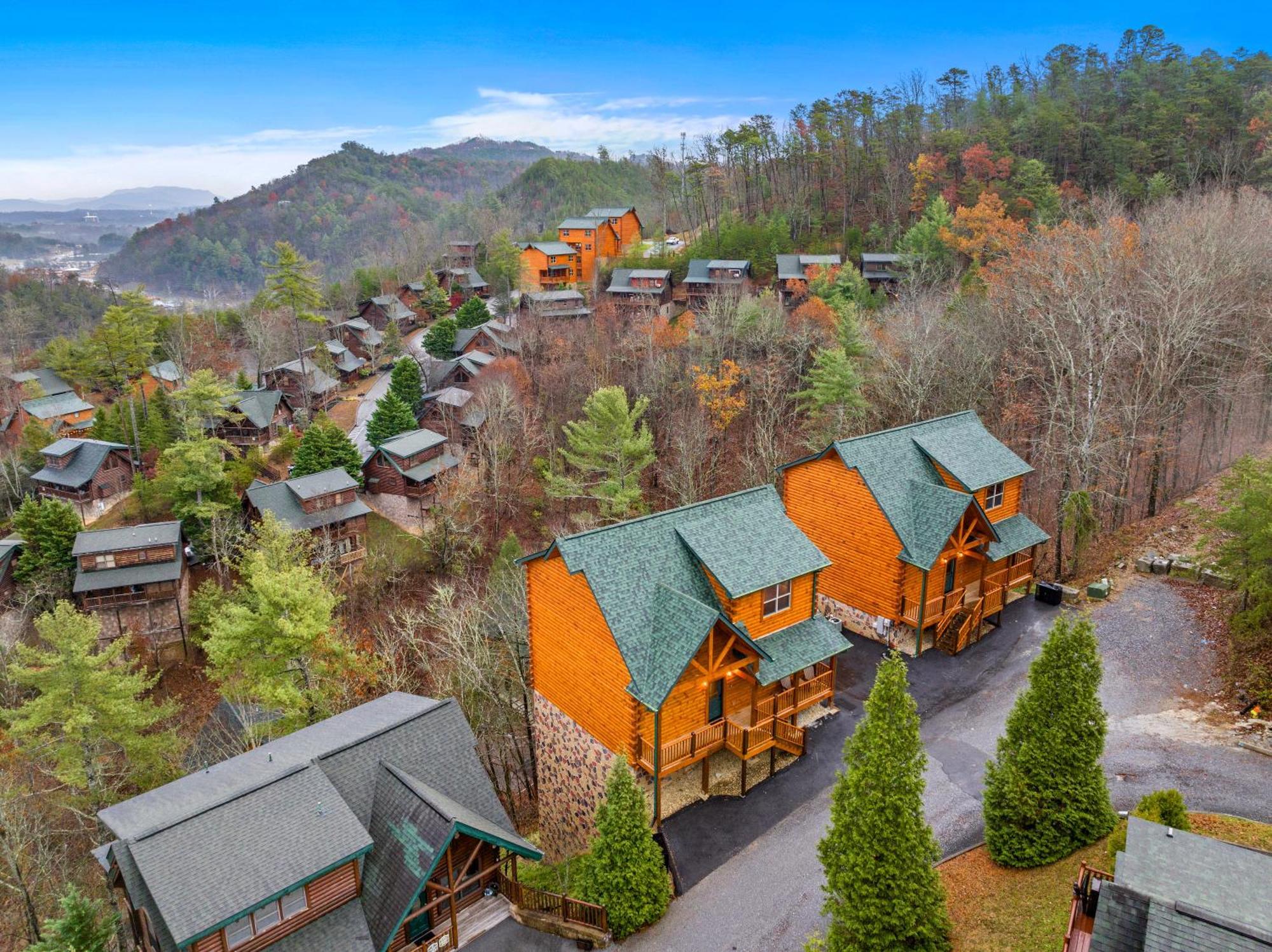 Zen Z Bear Pigeon Forge
