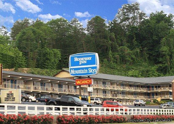 Wild Bear Pigeon Forge