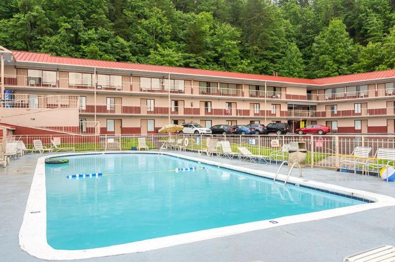 Wild Bear 3* Pigeon Forge