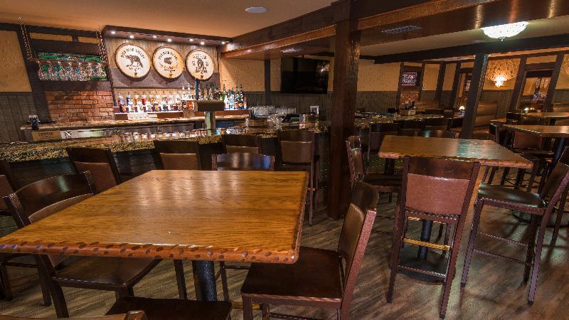 Wild Bear 3* Pigeon Forge