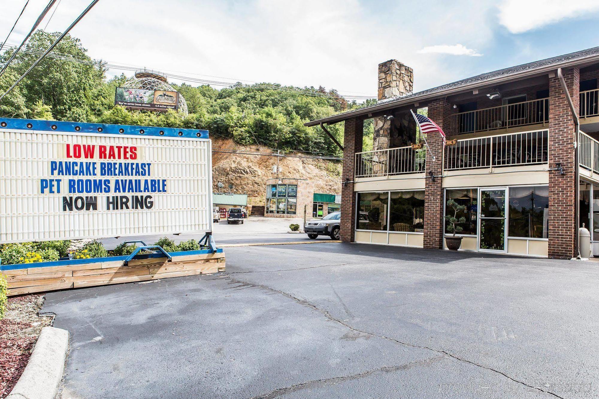 Wild Bear 3* Pigeon Forge