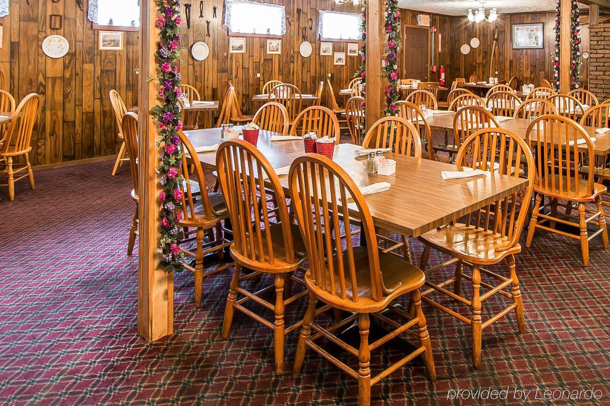 Motel Wild Bear Pigeon Forge
