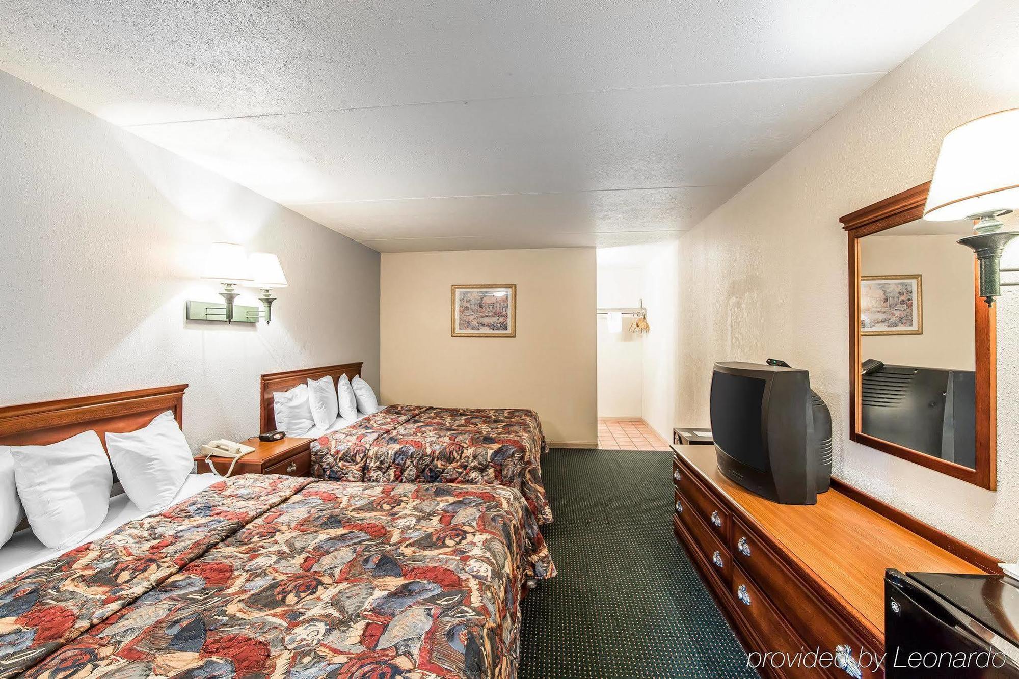 Motel Wild Bear