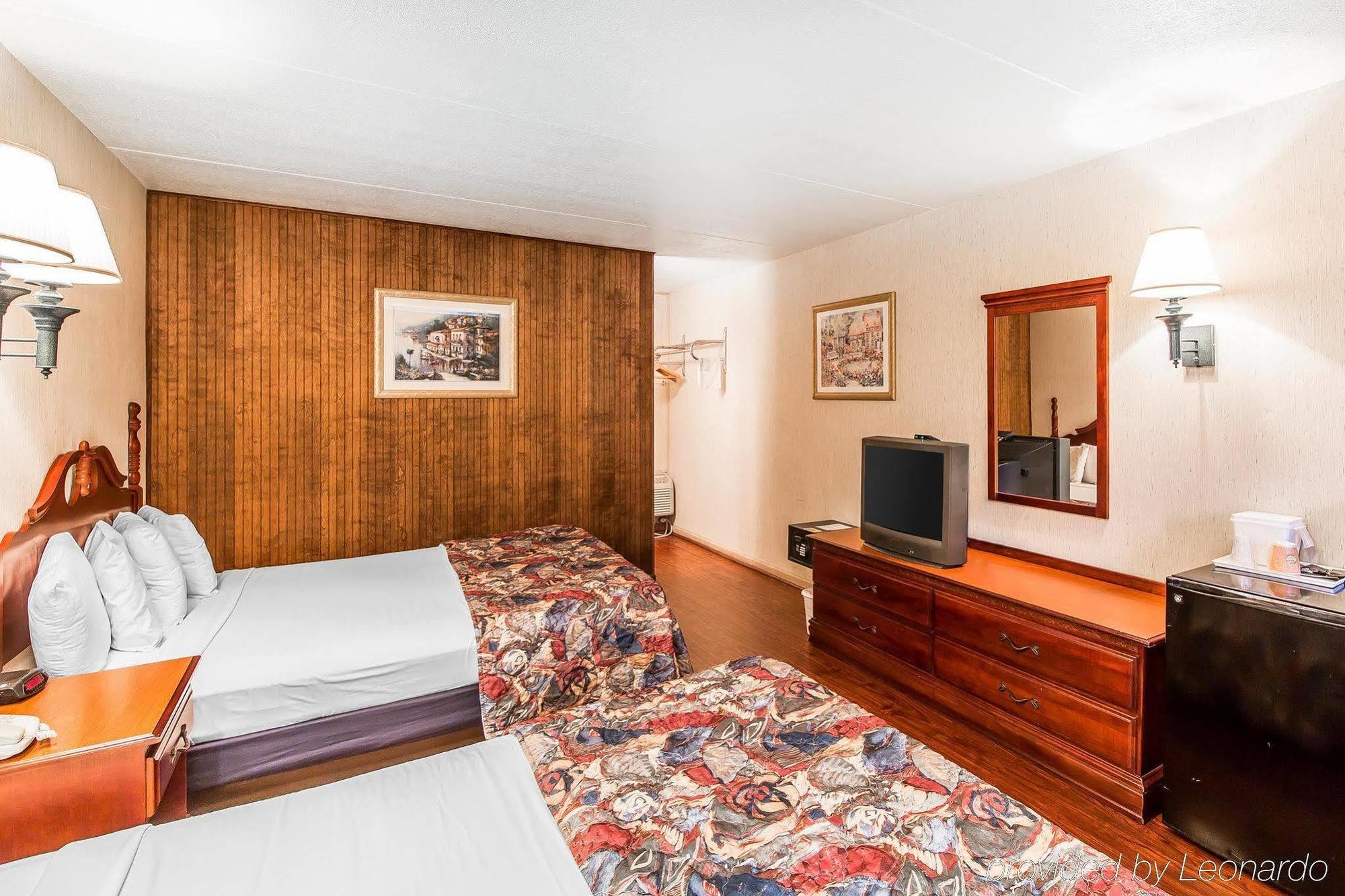 Wild Bear 3* Pigeon Forge