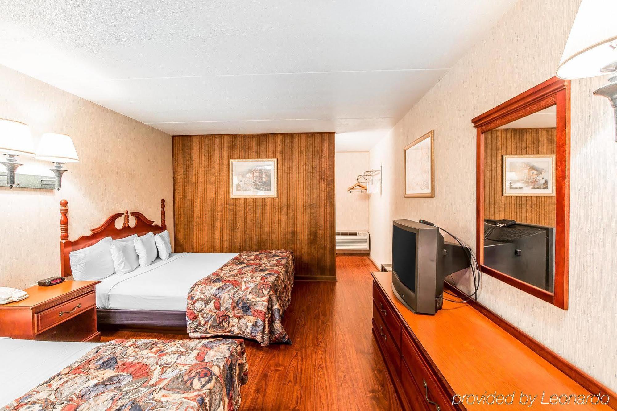 Motel Wild Bear