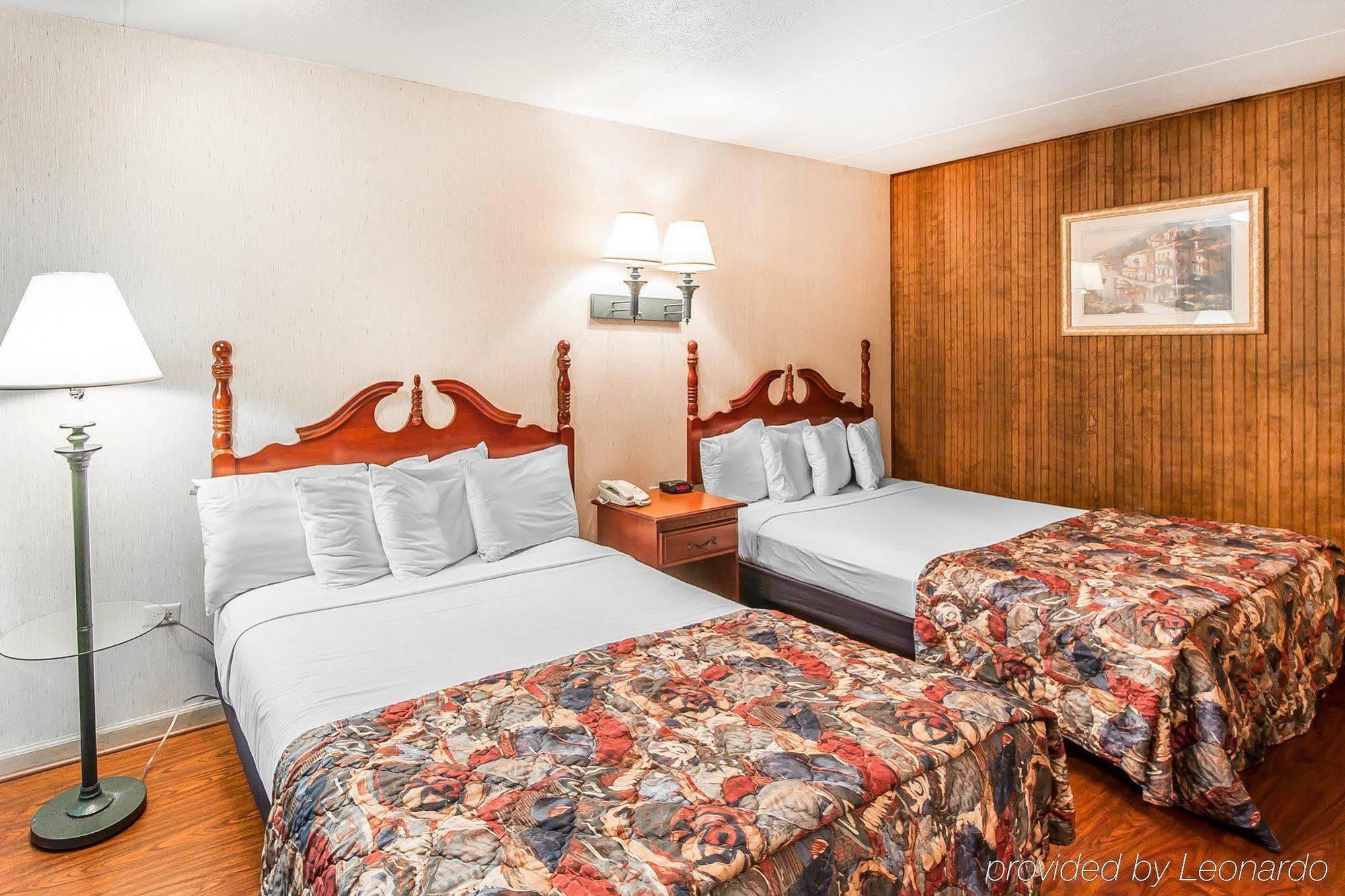 Wild Bear Pigeon Forge