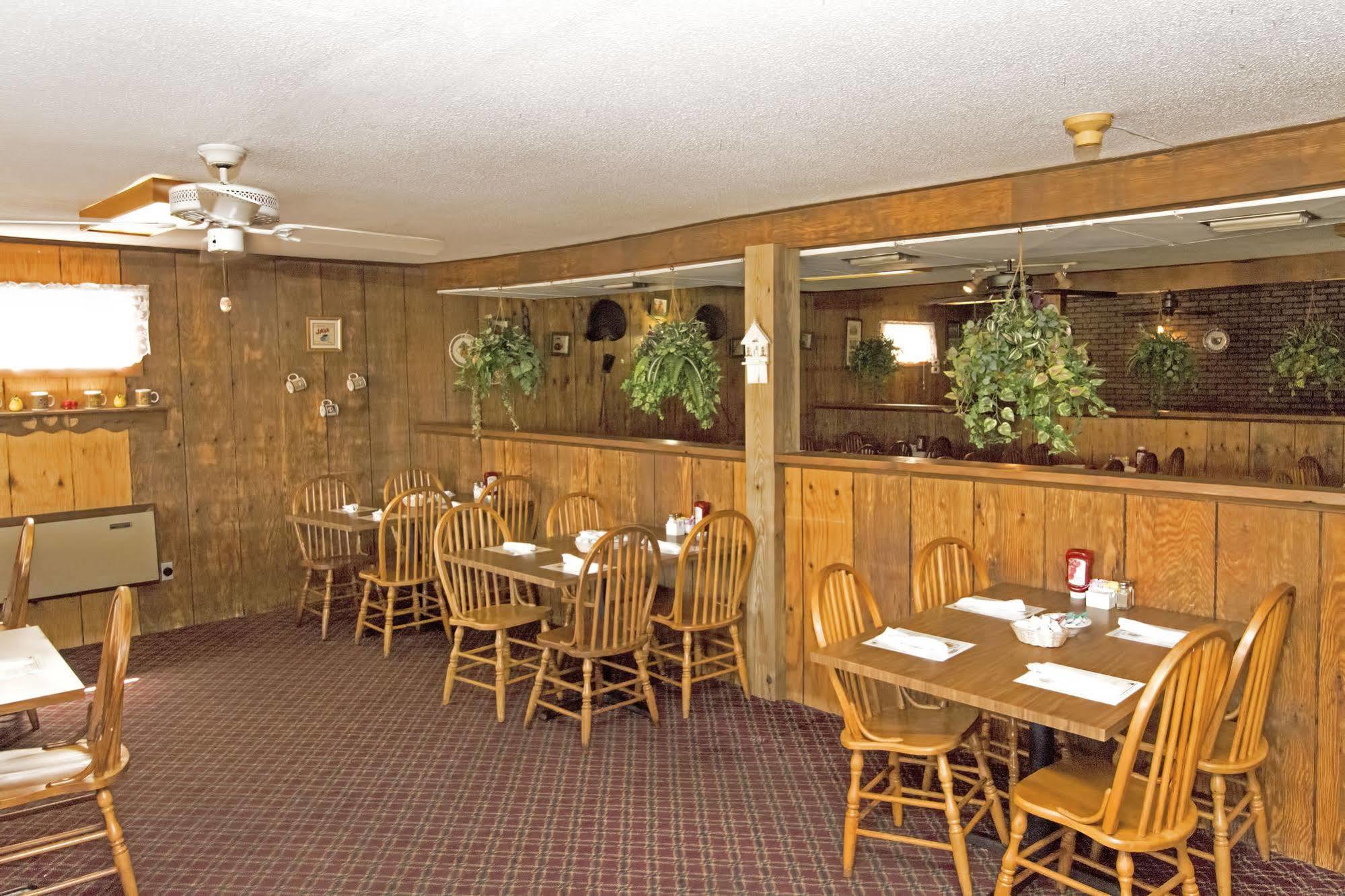 Wild Bear 3* Pigeon Forge