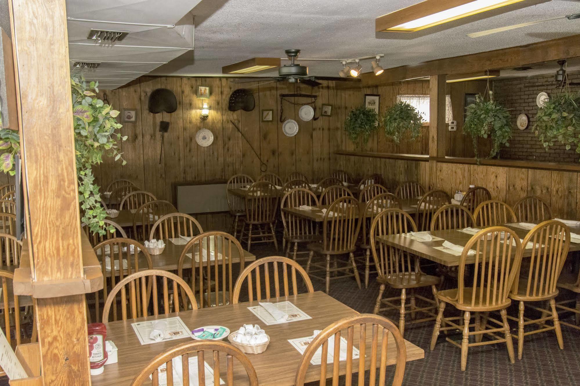 Wild Bear 3* Pigeon Forge