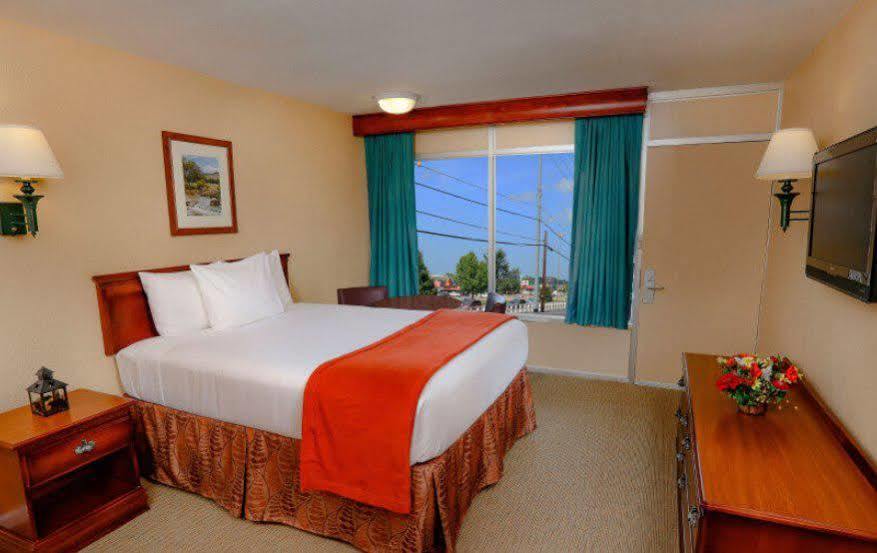 Motel Wild Bear 3*