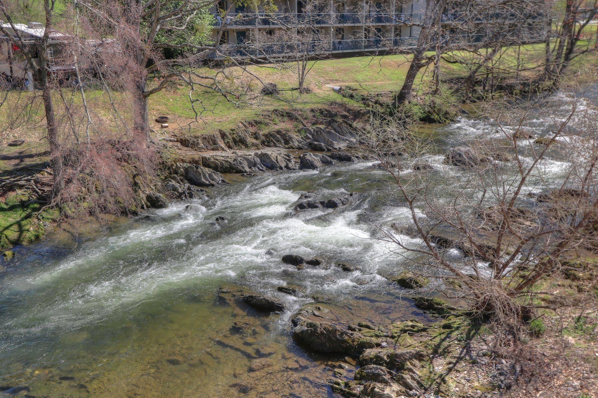 Creekstone 2*