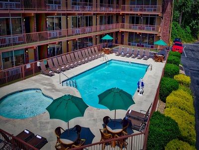 Wild Bear Motel 3*