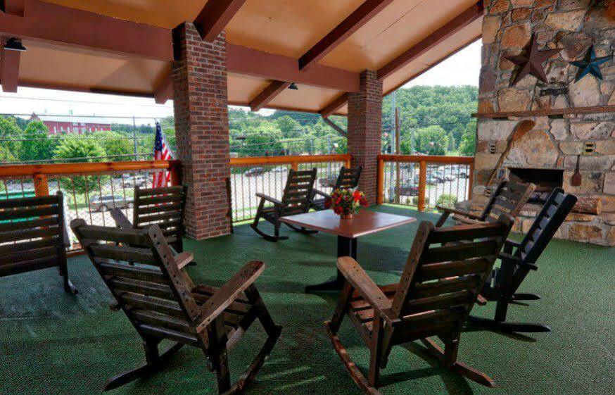 Wild Bear 3* Pigeon Forge