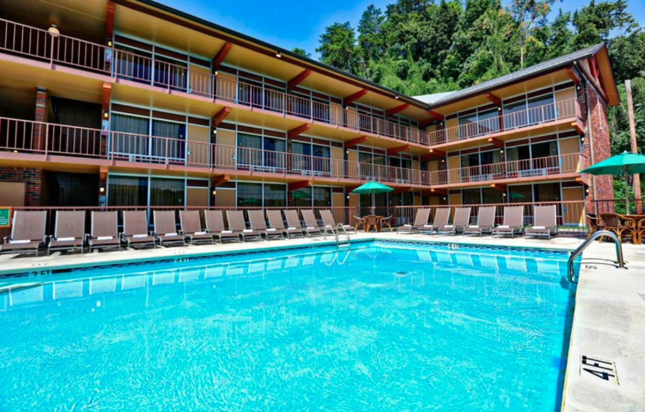 Motel Wild Bear Pigeon Forge
