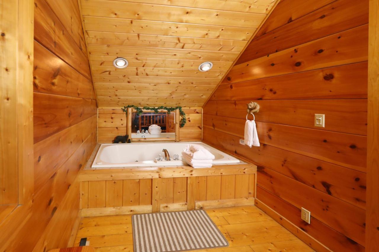 Black Bear Hibernation #2825 Holiday home