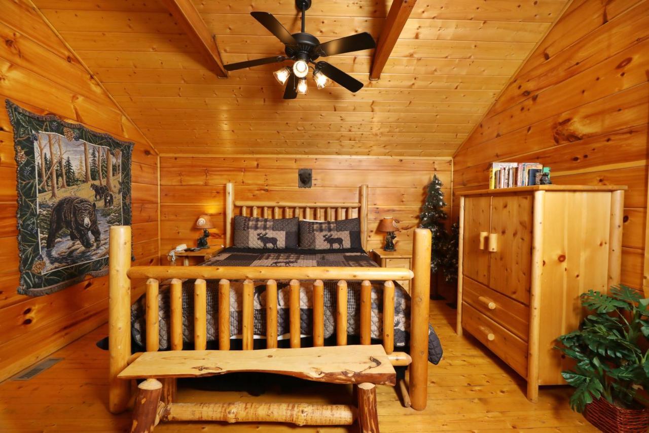 Black Bear Hibernation #2825 Pigeon Forge