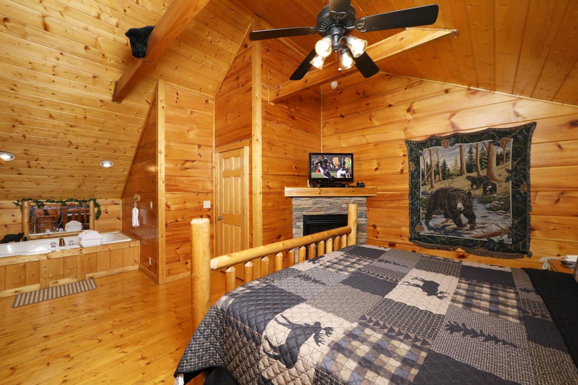 Black Bear Hibernation #2825 Pigeon Forge