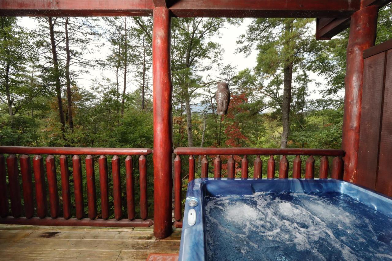 Black Bear Hibernation #2825 Holiday home *