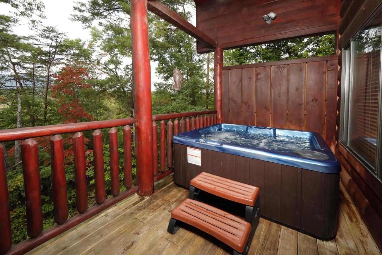 Black Bear Hibernation #2825 Pigeon Forge